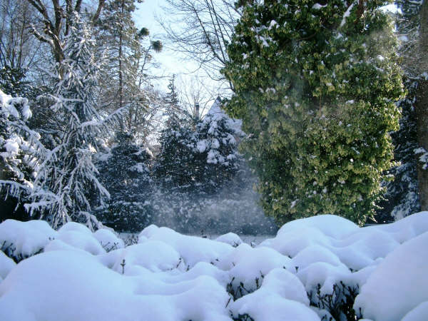 Страсбург зимой (фото 1) Страсбург зимой (фото 1)