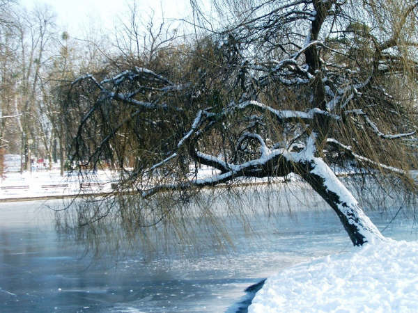 Страсбург зимой (фото 4) Страсбург зимой (фото 4)