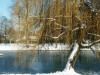  Страсбург зимой (фото 5)
